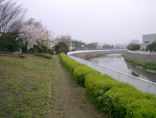 高山橋上流右岸風景の写真です