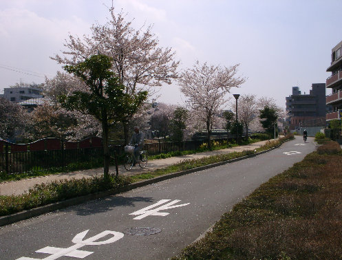 湘南台橋下流右岸の写真です。